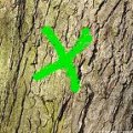 Aérosol peinture traçage Forestier réf: A17 + teinte RAL