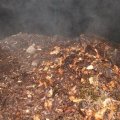 Activateur de compostage réf:L.BIO 30