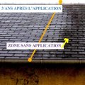 Demoussant toiture écologique